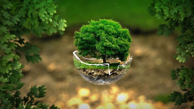 Ecológica